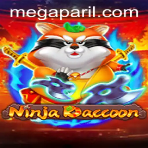 Delving into the World of NinjaRaccoon: A Comprehensive Guide